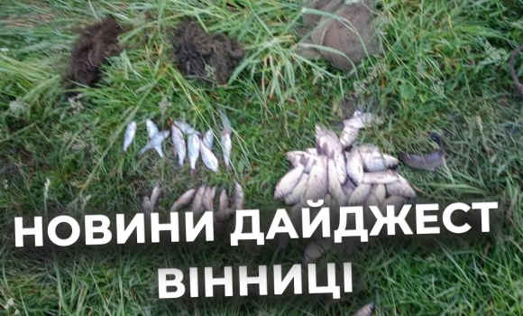 Embedded thumbnail for Дайджест новин Вінниці станом на 30 травня