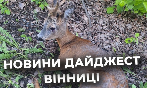 Embedded thumbnail for Дайджест новин Вінниці станом на 14 травня