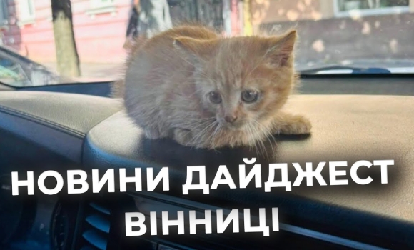 Embedded thumbnail for Дайджест новин Вінниці станом на 12 листопада