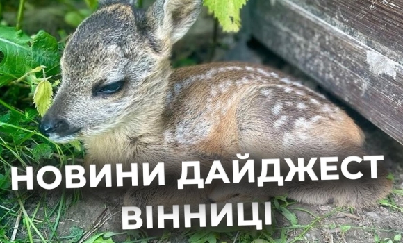 Embedded thumbnail for Дайджест новин Вінниці станом на 4 червня