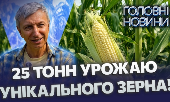 Embedded thumbnail for Сенсація на подільських полях: селекціонер відродив козацьку кукурудзу. Вистояла екстремальну засуху