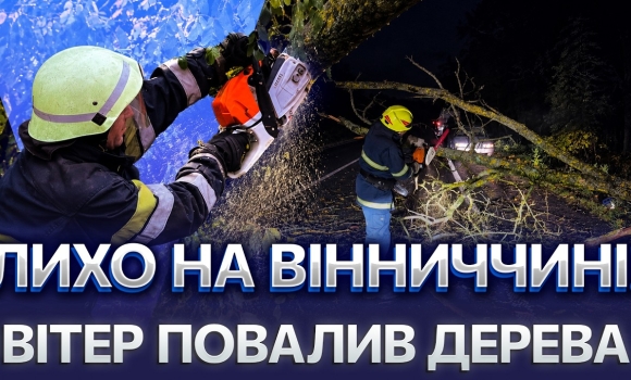 Embedded thumbnail for Стихія накрила Вінниччину: дерева попадали на дороги. Наслідки одразу у трьох громадах