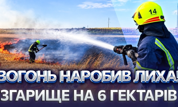Embedded thumbnail for Пожежа в автошколі у Вінниці: вогонь охопив гараж і сухостій. Підпалили сміття і понеслося