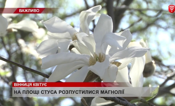 Embedded thumbnail for Вінниця квітує