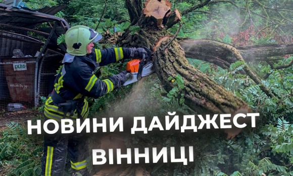 Embedded thumbnail for Дайджест новин Вінниці станом на 19 липня
