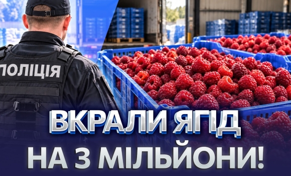 Embedded thumbnail for Афера на малині: шахраї надурили фермера на мільйони. Замовили 21 тонну ягід і не заплатили