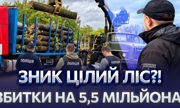 Embedded thumbnail for Зрубали понад 100 дерев: лісничі заробили мільйони на дровах. Дуби та ясени нелегально продавали