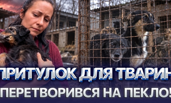 Embedded thumbnail for Покинула десятки тварин помирати: у притулку знайшли голодних собак і мертві тіла. Моторошні кадри