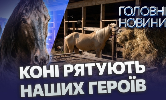 Embedded thumbnail for Унікальний притулок під Вінницею: врятовані коні роблять дива. Друге життя після окупації