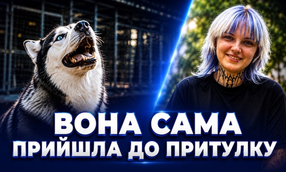 Embedded thumbnail for Півтора року чекала на дім: історія хаскі Берти зворушила вінничан. Тепер вона нарешті щаслива