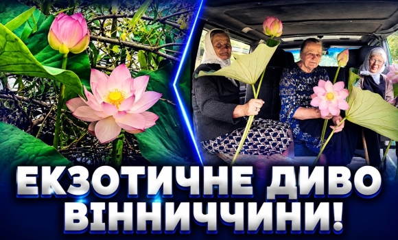 Embedded thumbnail for Вінницькі лотоси: чоловік створив казку власними руками. Секретне озеро: всі туристи їдуть сюди