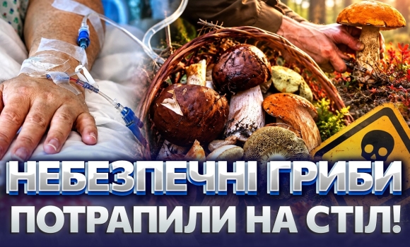 Embedded thumbnail for Грибний сезон із небезпечними наслідками: чотирьох людей госпіталізували. Як не потрапити до лікарні