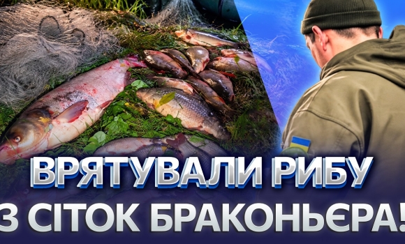 Embedded thumbnail for Нарибалив на 53 тисячі! На Вінниччині браконьєра спіймали на гарячому! Увесь улов повернули у воду!