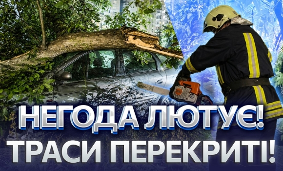 Embedded thumbnail for Шквальний вітер наробив лиха: дерево впало на авто. Моторошні наслідки буревію на Вінниччині