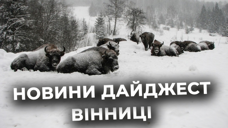 Embedded thumbnail for Дайджест новин Вінниці станом на 6 лютого