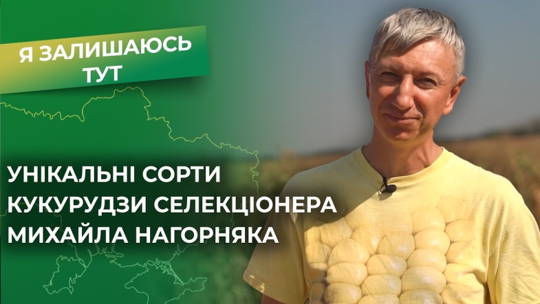 Embedded thumbnail for Синьо-жовта кукурудза Михайла Нагорняка: аграрні інновації та виклики війни!