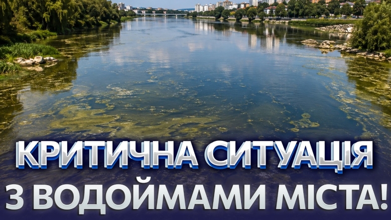 Embedded thumbnail for Аналізи води лякають: у річці завелись паразити. Водойми Вінниці врятує тільки одне