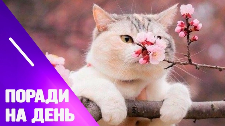 Embedded thumbnail for Поради від Марії Левченко на 16 березня