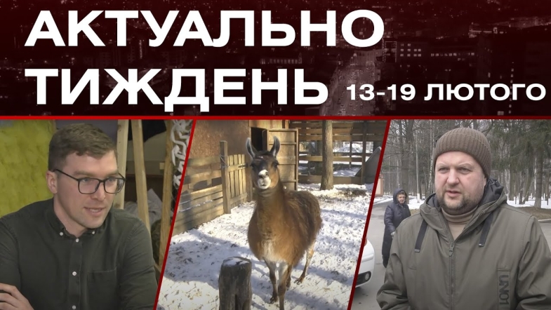 Embedded thumbnail for Притулок для тварин, &quot;Янголи свободи&quot; і автобуси Балаклії: актуальні новини за тиждень: 13-19 лютого