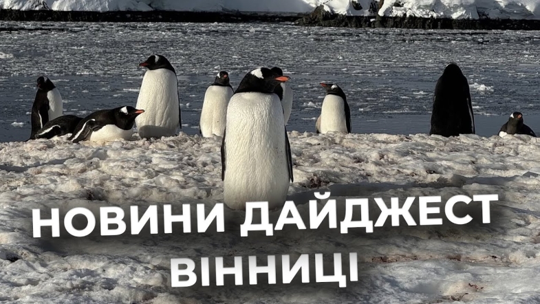 Embedded thumbnail for Дайджест новин Вінниці станом на 15 жовтня