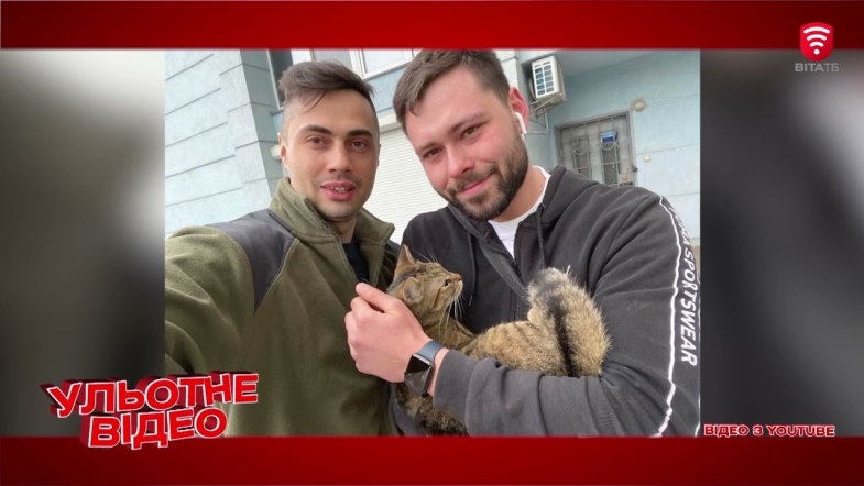 Embedded thumbnail for Як відомий харківський блогер кіт Степан почав волонтерити для своїх пухнастих братів