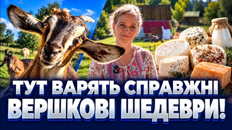 Embedded thumbnail for Вінничани в захваті від цих сирів: одна коза змінила життя сім'ї. З нуля створили молочну екоферму