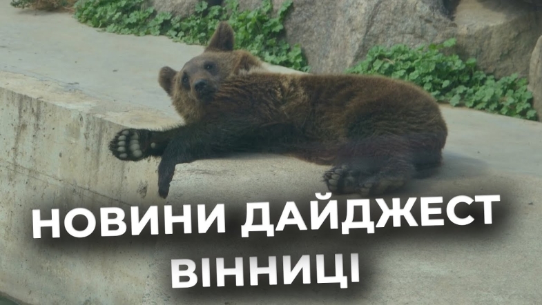 Embedded thumbnail for Дайджест новин Вінниці станом на 23 жовтня
