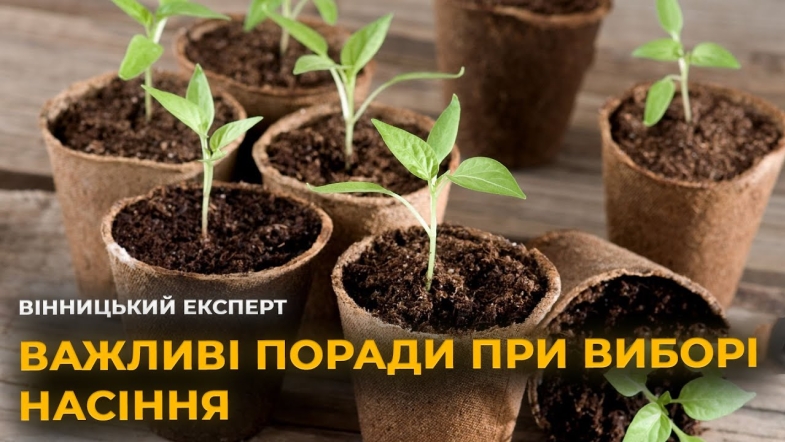 Embedded thumbnail for Як правильно вибрати насіння на розсаду, щоб отримати гарний урожай