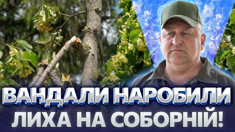 Embedded thumbnail for Варварство у центрі Вінниці! Дивіться, що знищили невідомі: тепер дерева можуть загинути