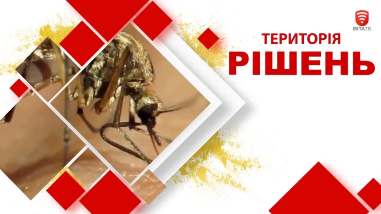 Embedded thumbnail for Територія рішень: Як захиститись від укусів комах