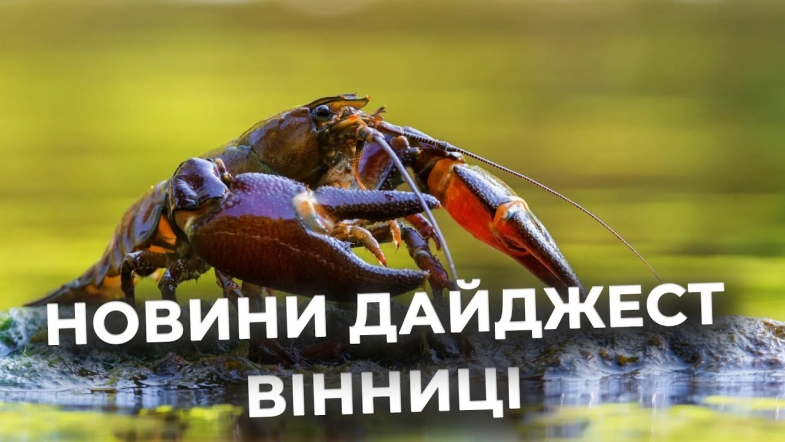 Embedded thumbnail for Дайджест новин Вінниці станом на 11 серпня