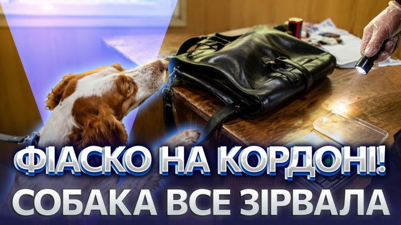 Embedded thumbnail for Іноземець погорів з портфелем контрабанди: собака Белла дещо занюхала. Замість пенсії — тюрма