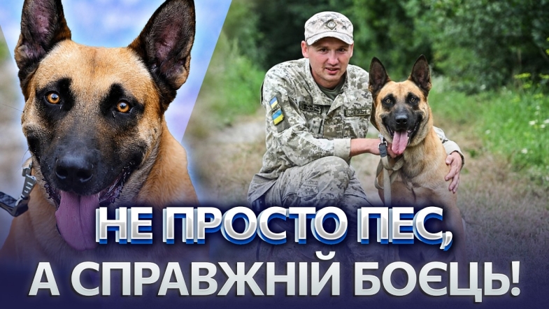 Embedded thumbnail for Кинув Європу, щоб захищати країну: пес Корд став надійним напарником! У порушників немає шансів