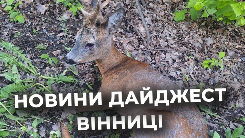 Embedded thumbnail for Дайджест новин Вінниці станом на 14 травня