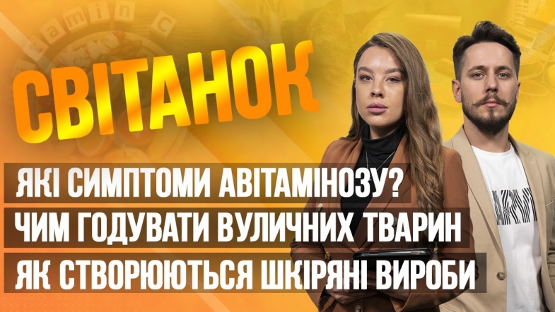 Embedded thumbnail for Ранкове шоу Світанок від 11.05.2023 р. (повний випуск)