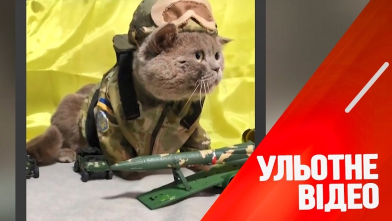 Embedded thumbnail for Чотирилапі воїни у лавах ЗСУ