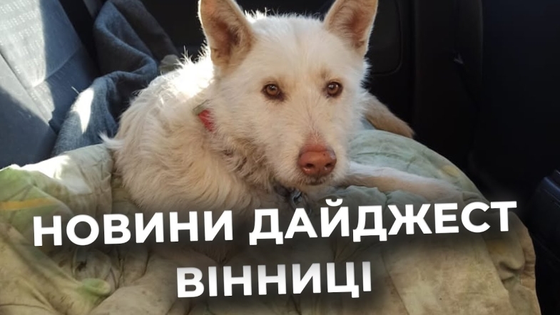 Embedded thumbnail for Дайджест новин Вінниці станом на 21 січня