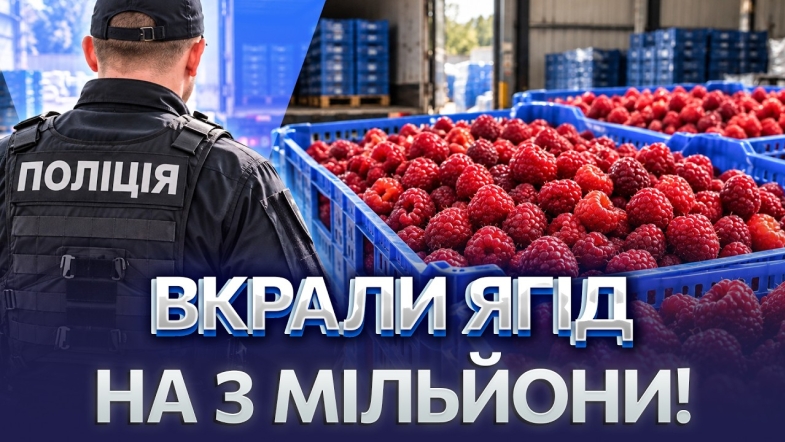 Embedded thumbnail for Афера на малині: шахраї надурили фермера на мільйони. Замовили 21 тонну ягід і не заплатили