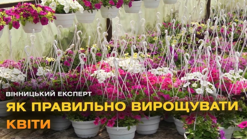 Embedded thumbnail for Особливості розсади квітів: що варто знати садівникам
