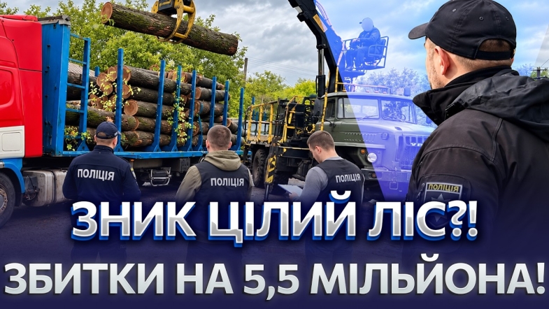 Embedded thumbnail for Зрубали понад 100 дерев: лісничі заробили мільйони на дровах. Дуби та ясени нелегально продавали