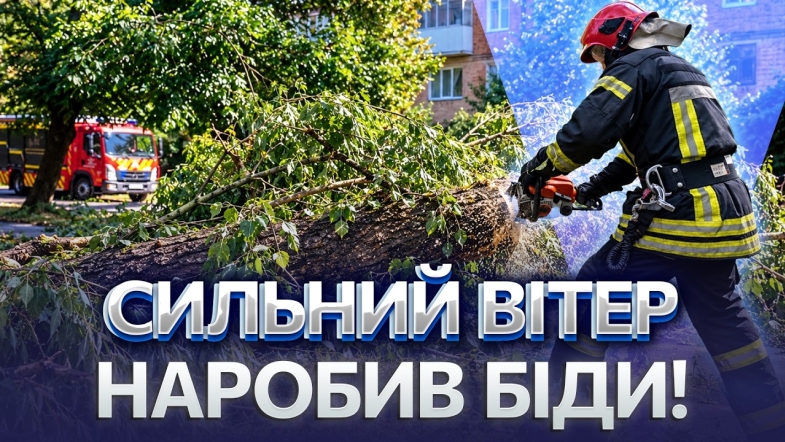 Embedded thumbnail for Дерева попадали на дороги: наслідки потужного буревію на Вінниччині. Рятувальники розчищають шляхи