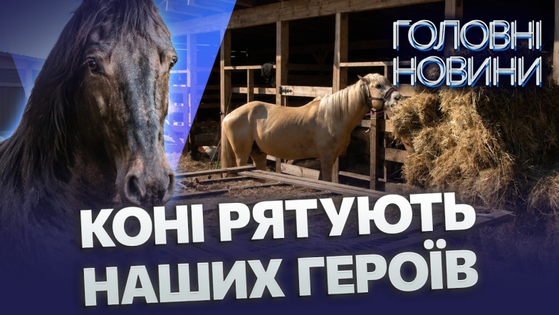 Embedded thumbnail for Унікальний притулок під Вінницею: врятовані коні роблять дива. Друге життя після окупації