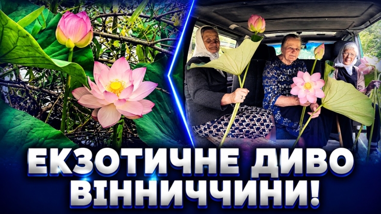 Embedded thumbnail for Вінницькі лотоси: чоловік створив казку власними руками. Секретне озеро: всі туристи їдуть сюди