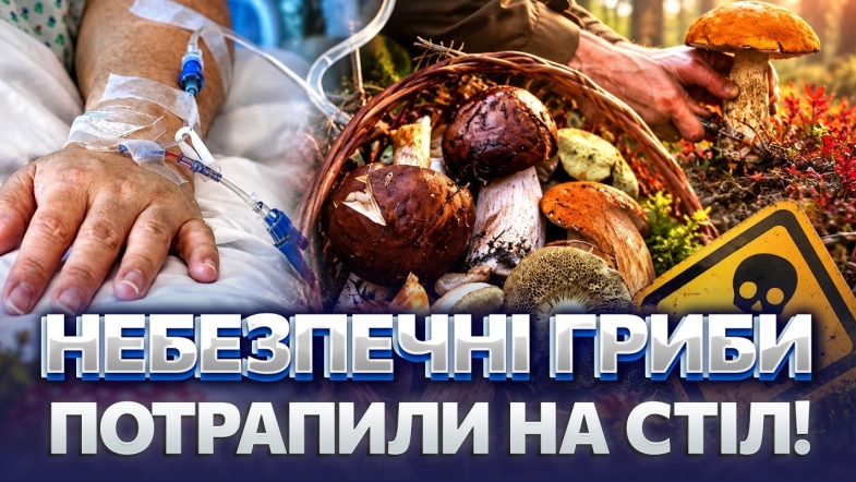 Embedded thumbnail for Грибний сезон із небезпечними наслідками: чотирьох людей госпіталізували. Як не потрапити до лікарні