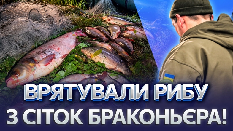 Embedded thumbnail for Нарибалив на 53 тисячі! На Вінниччині браконьєра спіймали на гарячому! Увесь улов повернули у воду!