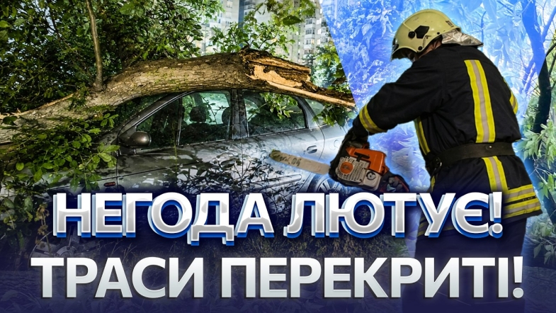 Embedded thumbnail for Шквальний вітер наробив лиха: дерево впало на авто. Моторошні наслідки буревію на Вінниччині