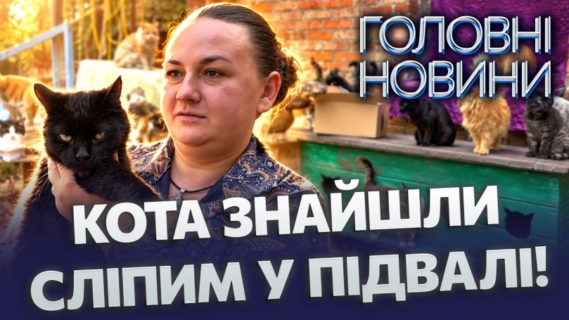 Embedded thumbnail for Цей кіт народився у тюрмі: волонтерка врятувала пів сотні тварин. Серед них — повністю сліпий кіт