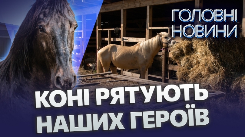 Embedded thumbnail for Унікальний притулок під Вінницею: врятовані коні роблять дива. Друге життя після окупації