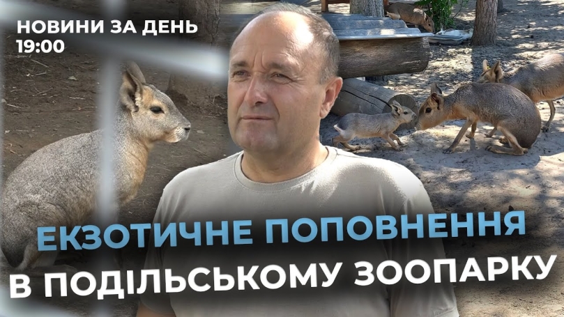 Embedded thumbnail for Новини за день — 11 липня 2025 року, станом на 19:00