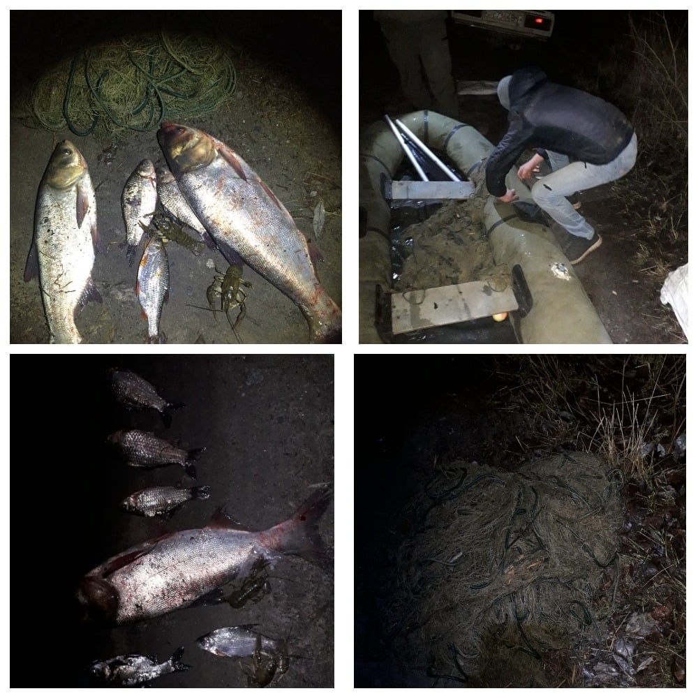 Збитки понад 30 тисяч гривень у Гайсинському районі виявили незаконний вилов риби